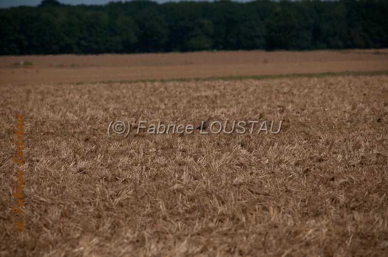20130901-FLS_5976.jpg