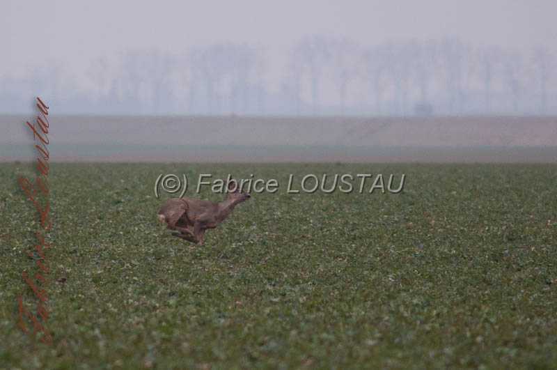 20130302-FLS_7573.jpg