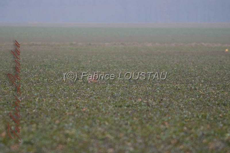 20130302-FLS_7576.jpg