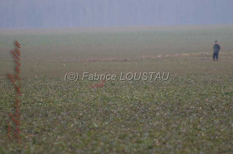 20130302-FLS_7602.jpg