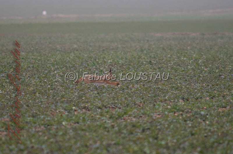 20130302-FLS_7619.jpg