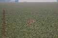 20130302-FLS_7586