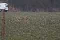 20130302-FLS_7603