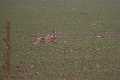 20130302-FLS_7644