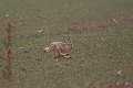 20130302-FLS_7652