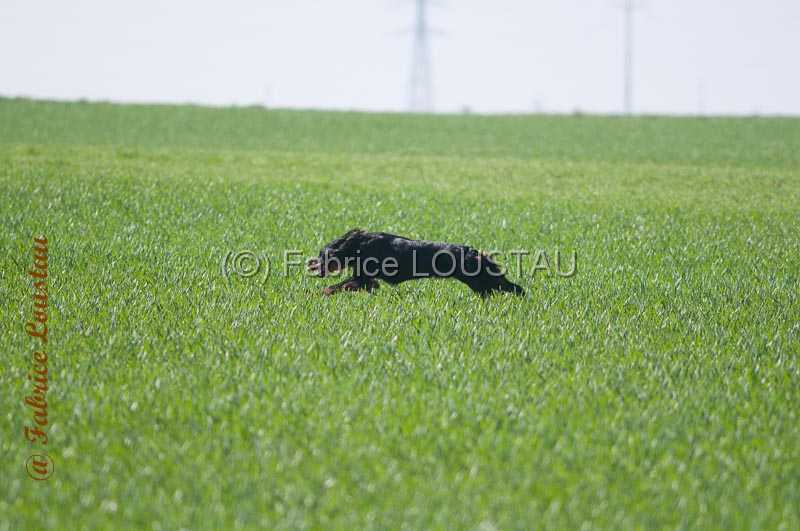 20140316-FLS_7050.jpg
