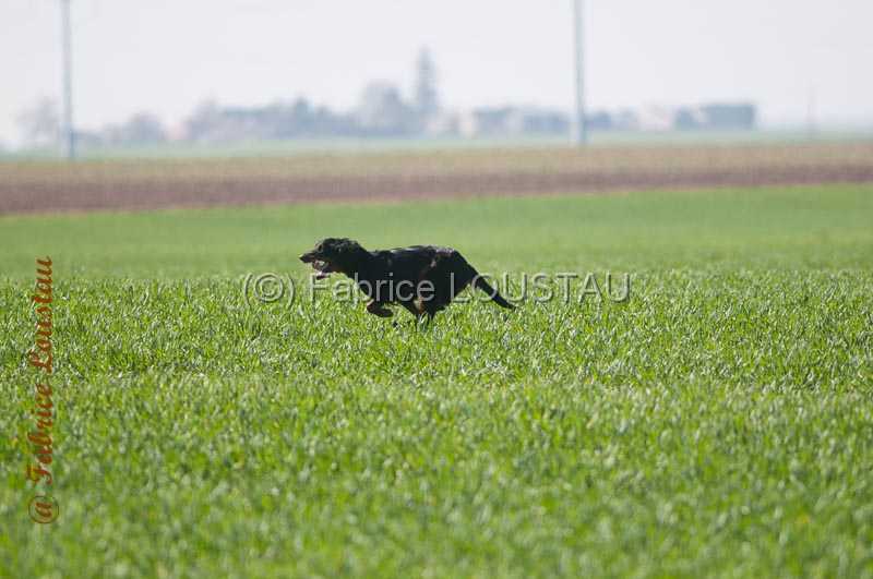 20140316-FLS_7086.jpg