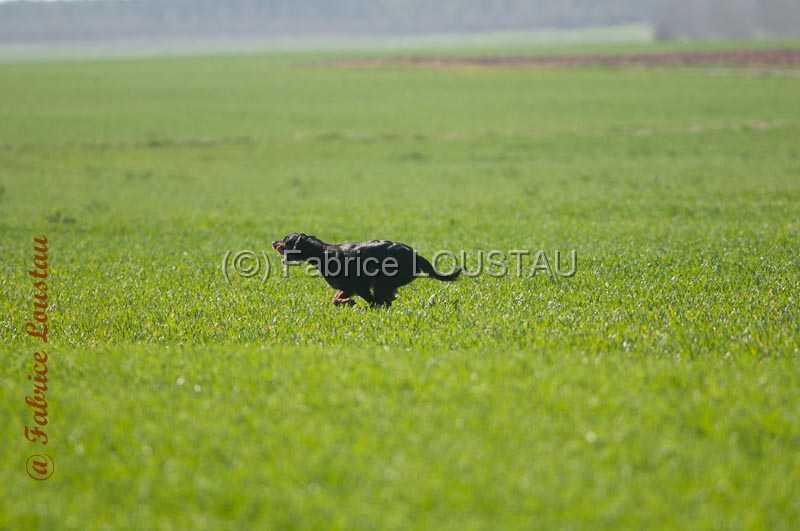 20140316-FLS_7120.jpg