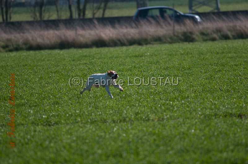 20140316-FLS_7123.jpg