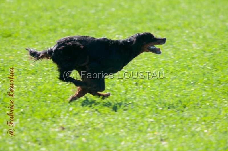 20140316-FLS_7129.jpg