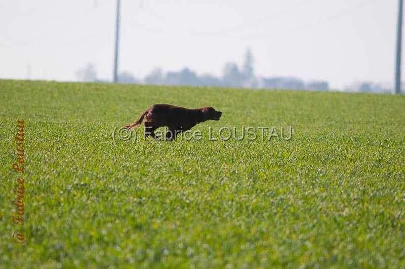 20140316-FLS_7263.jpg