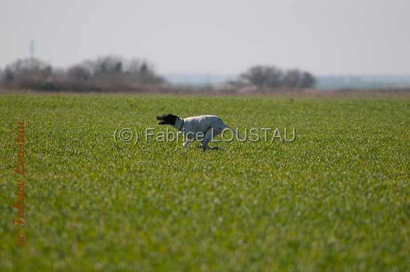 20140316-FLS_7286.jpg