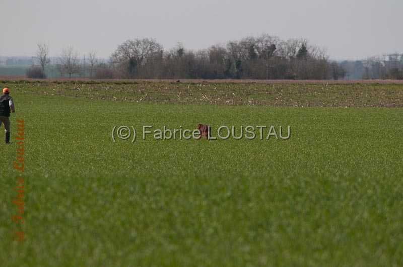 20140316-FLS_7327.jpg