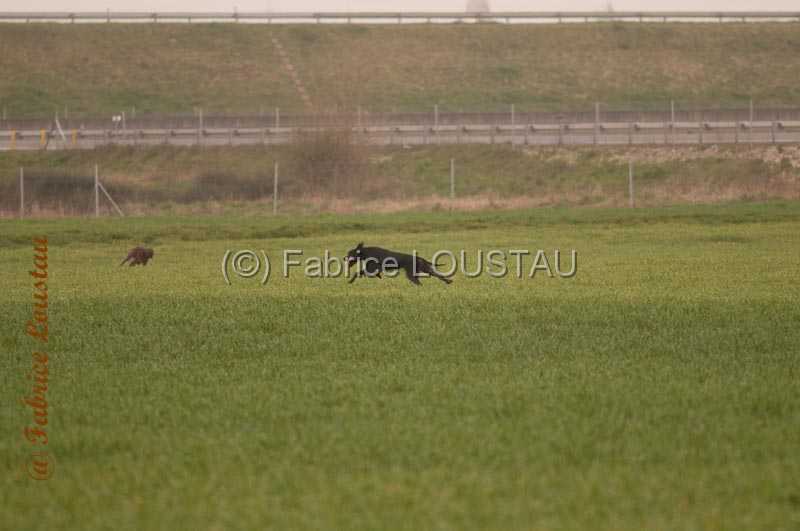 20140316-FLU_6899.jpg