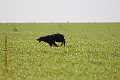 20140316-FLS_7222