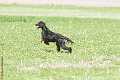 20150906-FLS_3502