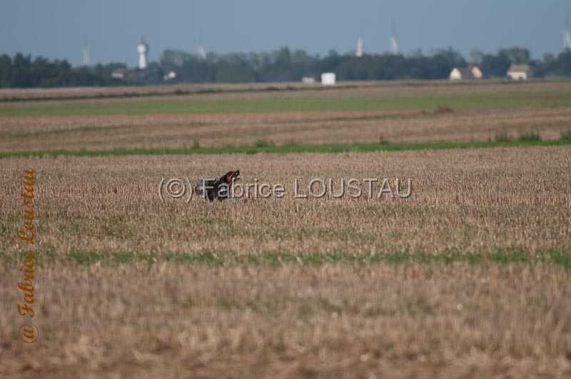 20170820-FLS_6016.jpg