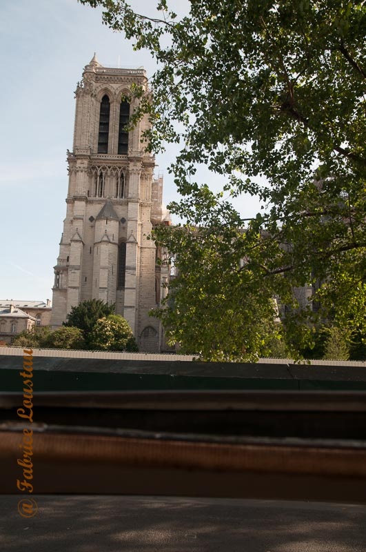 20190721-FLS_0572.jpg