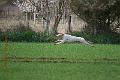 20190310-FLS_9579