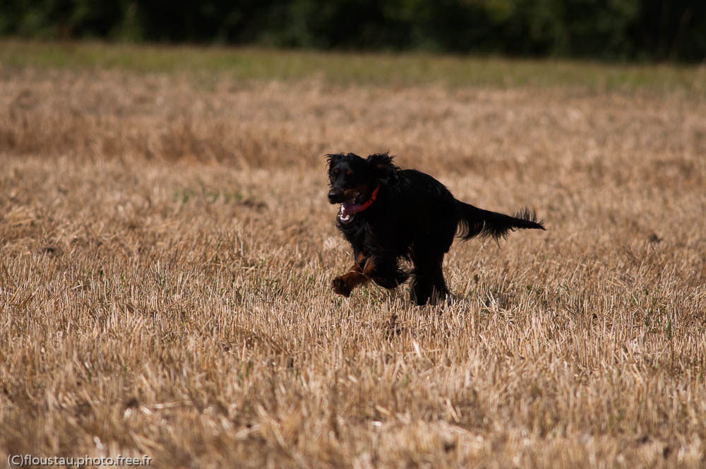 20200822-FLS_1460.jpg - Omer