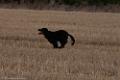 20200822-FLS_1011